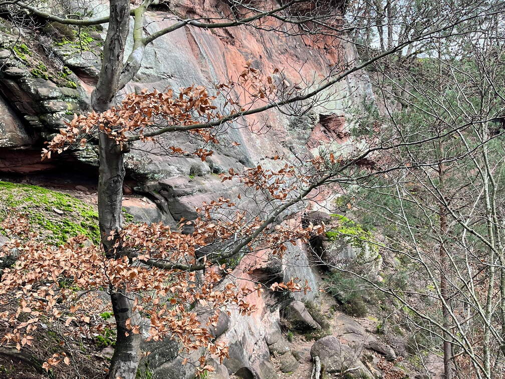 24-02-27 14-02-03 8749